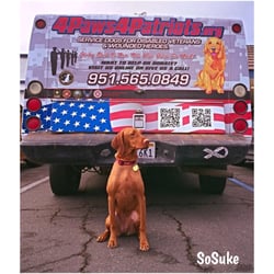 4 Paws 4 Patriots - SoSuke after she passed her CGC test. Standing tall and humbly proud! This is for you Daddy!