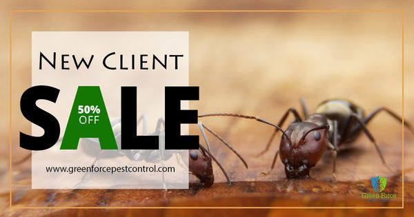 Green Force Pest Control