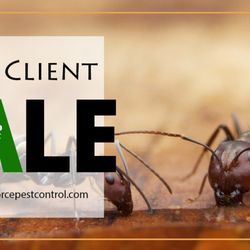 Green Force Pest Control - Green Force Pest Control Rexburg, Idaho Deal 50% Off