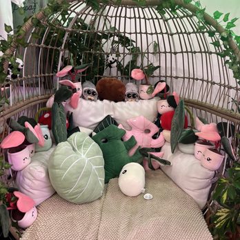 The Plant Sitter - Nurseries & Gardening Near Me - San Jose, California The Plant Sitter - Nurseries & Gardening Near Me - San Jose, California
