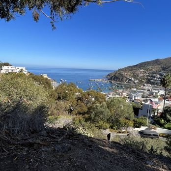 Avalon Local Tours - Tours Near Me