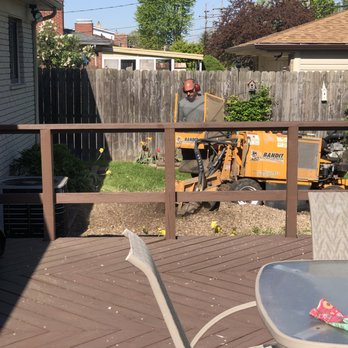 Family Tree Removal - Tree Services Near Me - Shelby Township, Michigan Family Tree Removal - Tree Services Near Me - Shelby Township, Michigan