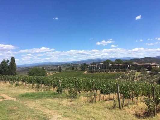 Villa Mangiacane by null