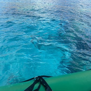 The Magic Merman Snorkel Charters - Whale Watching Tours Near Me - Kaanapali, Hawaii