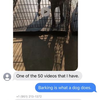 Well Mannered Bullies - Mike sending video of our dog being "so aggressive" yet she's just barking. Also where he called us fat! - Pet Training Near Me Well Mannered Bullies - Mike sending video of our dog being "so aggressive" yet she's just barking. Also where he called us fat! - Pet Training Near Me