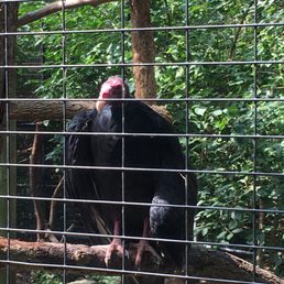 My favorite bird! Thanks for cleaning up