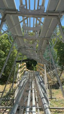 Park City Alpine Slide by null