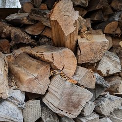 Bubolz Nature Preserve - A fox snake enjoying some early spring sun in one of our wood piles.