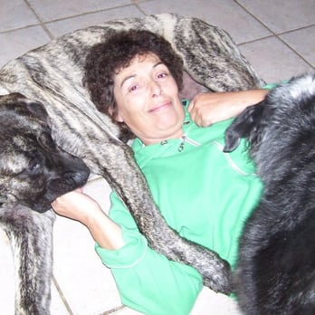 GOOD DOG! - Bed-n-Biscuits - Carol & Cash - Pet Training Near Me - St. Augustine, Florida GOOD DOG! - Bed-n-Biscuits - Carol & Cash - Pet Training Near Me - St. Augustine, Florida