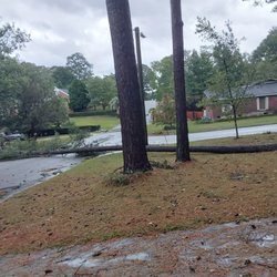 Daniel's Tree Service