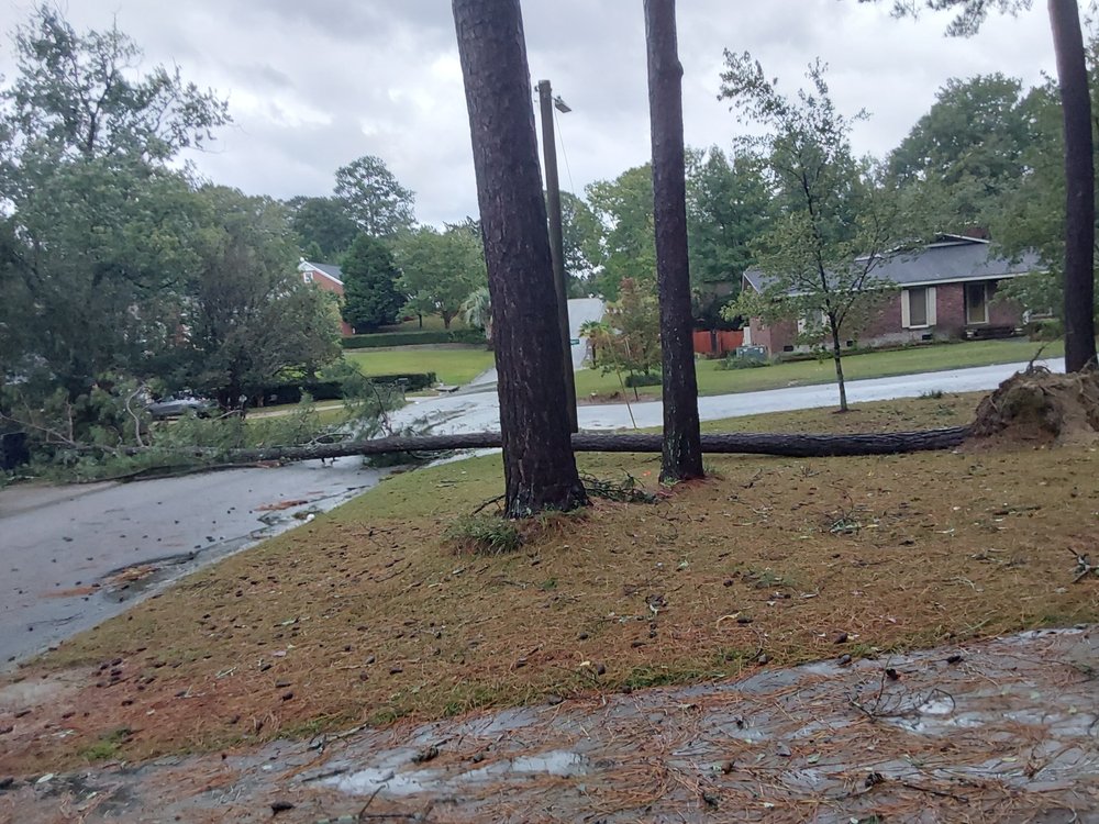 Daniel's Tree Service - tree service in Gaston, SC