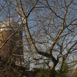 Cley Windmill - Cley Windmill