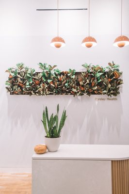 Parsley Health | Functional Medicine by null