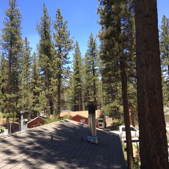 Fire Risk Management - Tree Services Near Me Fire Risk Management - Tree Services Near Me