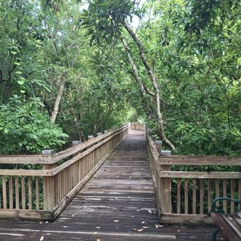 Arbor Park - Parks Near Me - Celebration, Florida Arbor Park - Parks Near Me - Celebration, Florida