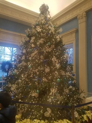 Gracie Mansion Conservancy by null