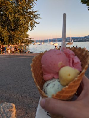 Gelati AM SEE by null