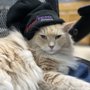 Photo of Broadway Animal Hospital
