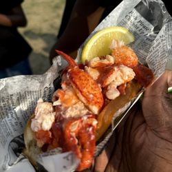 Bold Coast Lobster - Connecticut Lobster Roll