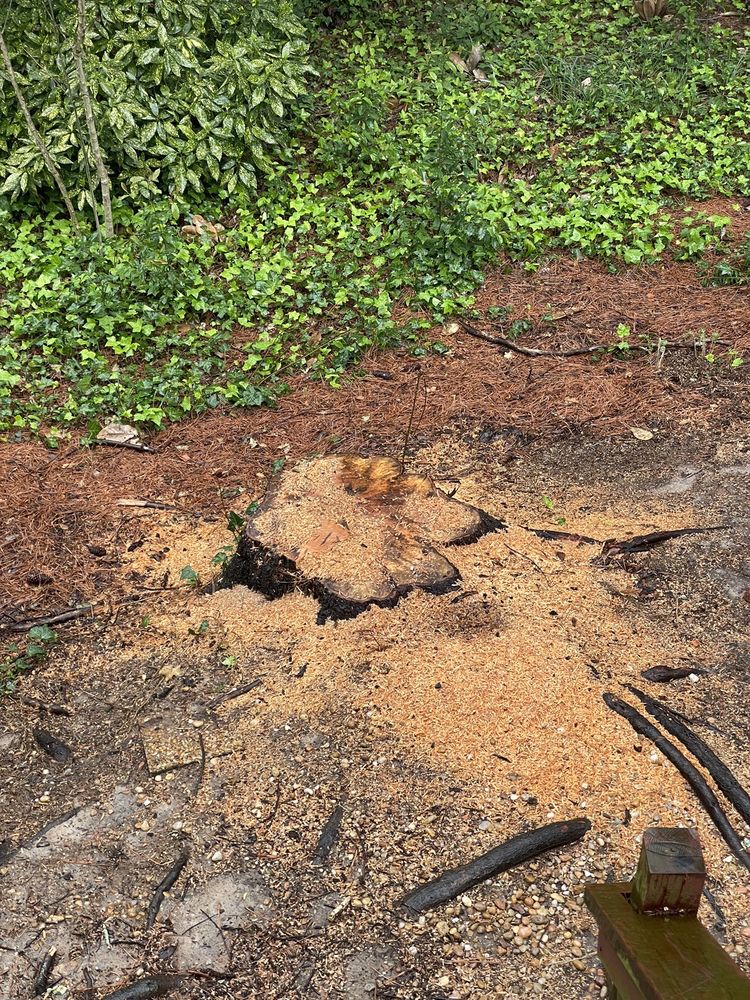 Acreage Tree Service - tree service in Marietta, GA