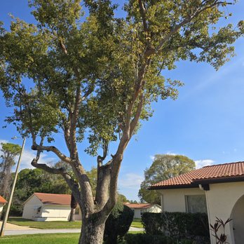 Stumpy's Tree & Outdoors - Tree Services Near Me - Lebanon, Illinois Stumpy's Tree & Outdoors - Tree Services Near Me - Lebanon, Illinois
