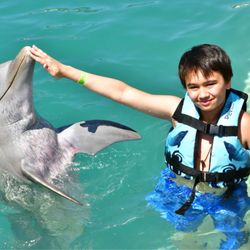 Dolphin Discovery Costa Maya