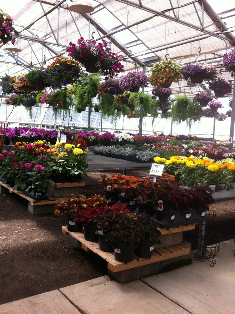 HARTS NURSERY OF JEFFERSON Updated October 2024 PO Box 1070