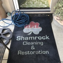 And by the way David and Damian say I'm their favorite customer! Well they're my favorite carpet and tile guys! And by the way David and Damian say I'm their favorite customer! Well they're my favorite carpet and tile guys!
