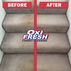 Oxi Fresh Carpet Cleaning