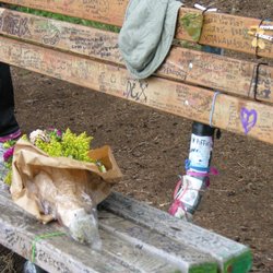 Kurt Cobain Memorial Bench - Things left by fans