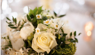 Hallé St Peter's by null