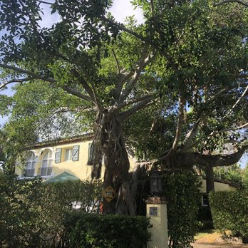 Lavender House - Landmarks & Historical Buildings Near Me - Boca Raton, Florida