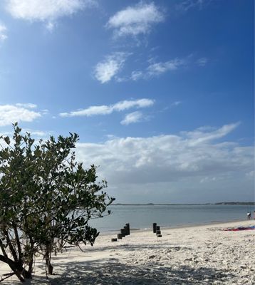 Smyrna Dunes Park by null