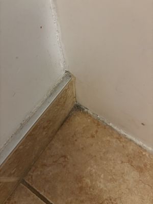 Ashworth by the Sea by null