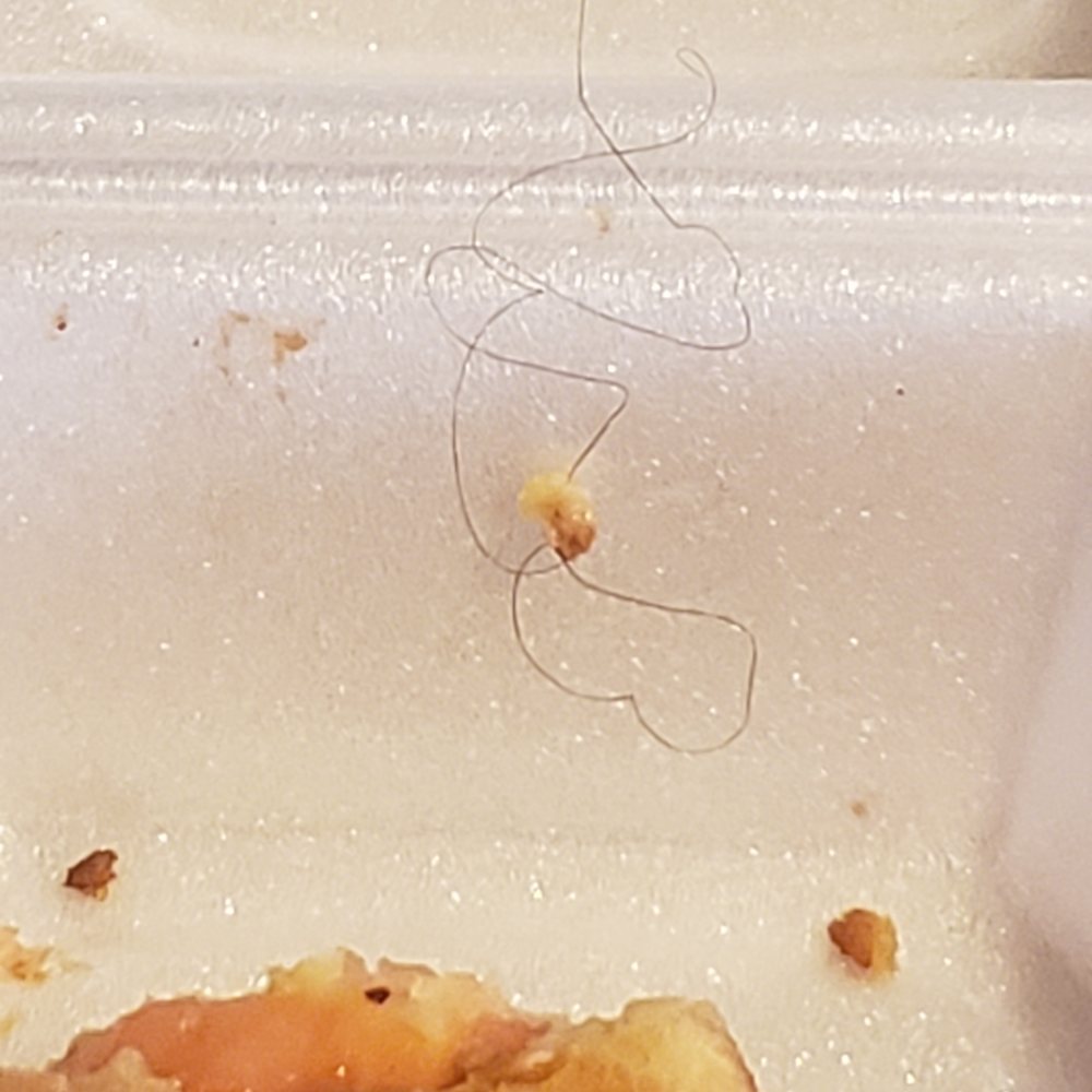 No Change Cafe - hair after my husband had chewed it. I will be contacting the health department too. - Diners Near Me - Redford Charter Township, Michigan No Change Cafe - hair after my husband had chewed it. I will be contacting the health department too. - Diners Near Me - Redford Charter Township, Michigan