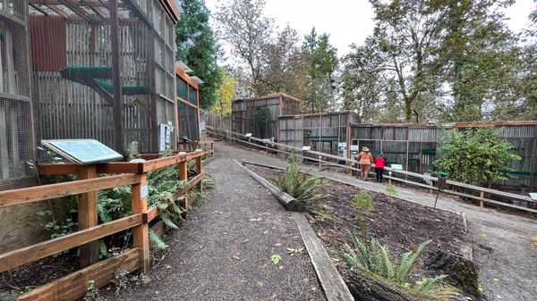 Cascades Raptor Center by null