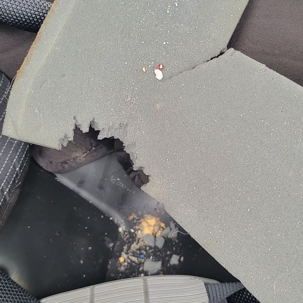 Rat damage