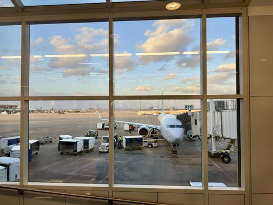 Dallas Fort Worth International Airport by null