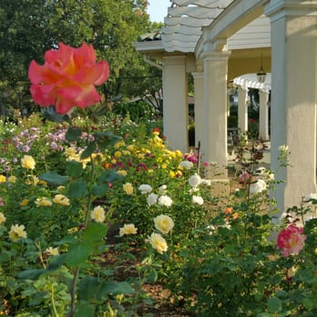 Wrigley Gardens - It's almost the end of June and the roses are still in full bloom! - Botanical Gardens Near Me - Pasadena, California
