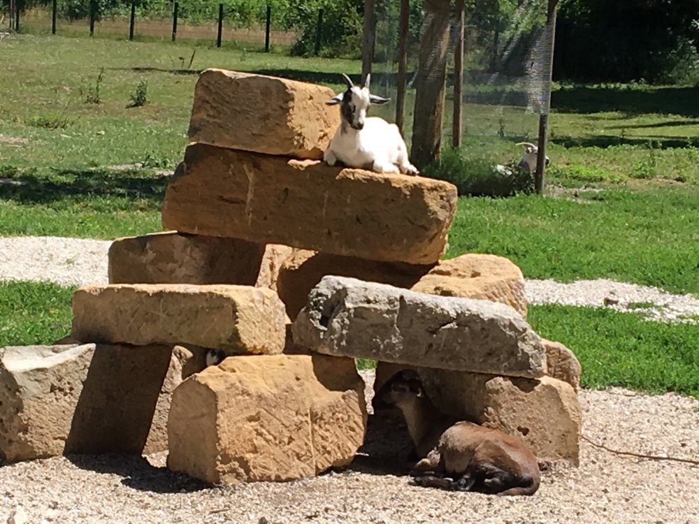 Wild- und Freizeitpark