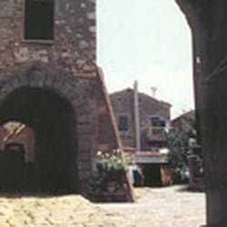 Bibbona