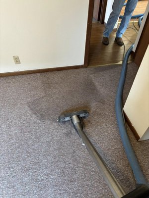 Stubbs Carpet Cleaning
