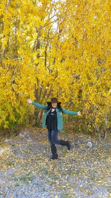 Hyde Memorial State Park by null