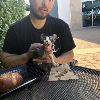 Peach Fuzz Sphynx - @smegolmyprecious - Pet Adoption Near Me