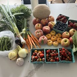 Mid summer haul