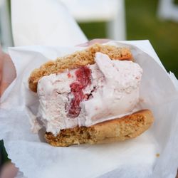 Lazy Sundae Truck - Ice Cream Sandwich - Peanut Butter Cookie | Strawberry Ice Cream