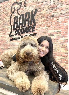 Bark Square by null