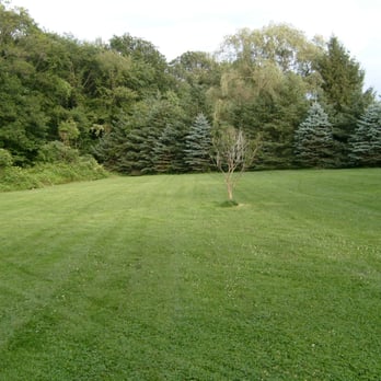 Mikkelson Mowing - a field of grass and trees - Landscaping Near Me - Lebanon, Connecticut Mikkelson Mowing - a field of grass and trees - Landscaping Near Me - Lebanon, Connecticut
