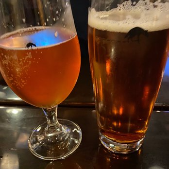 Aardwolf Brewing Company - Bars Near Me - Jacksonville, Florida