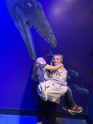 Newport Aquarium by null